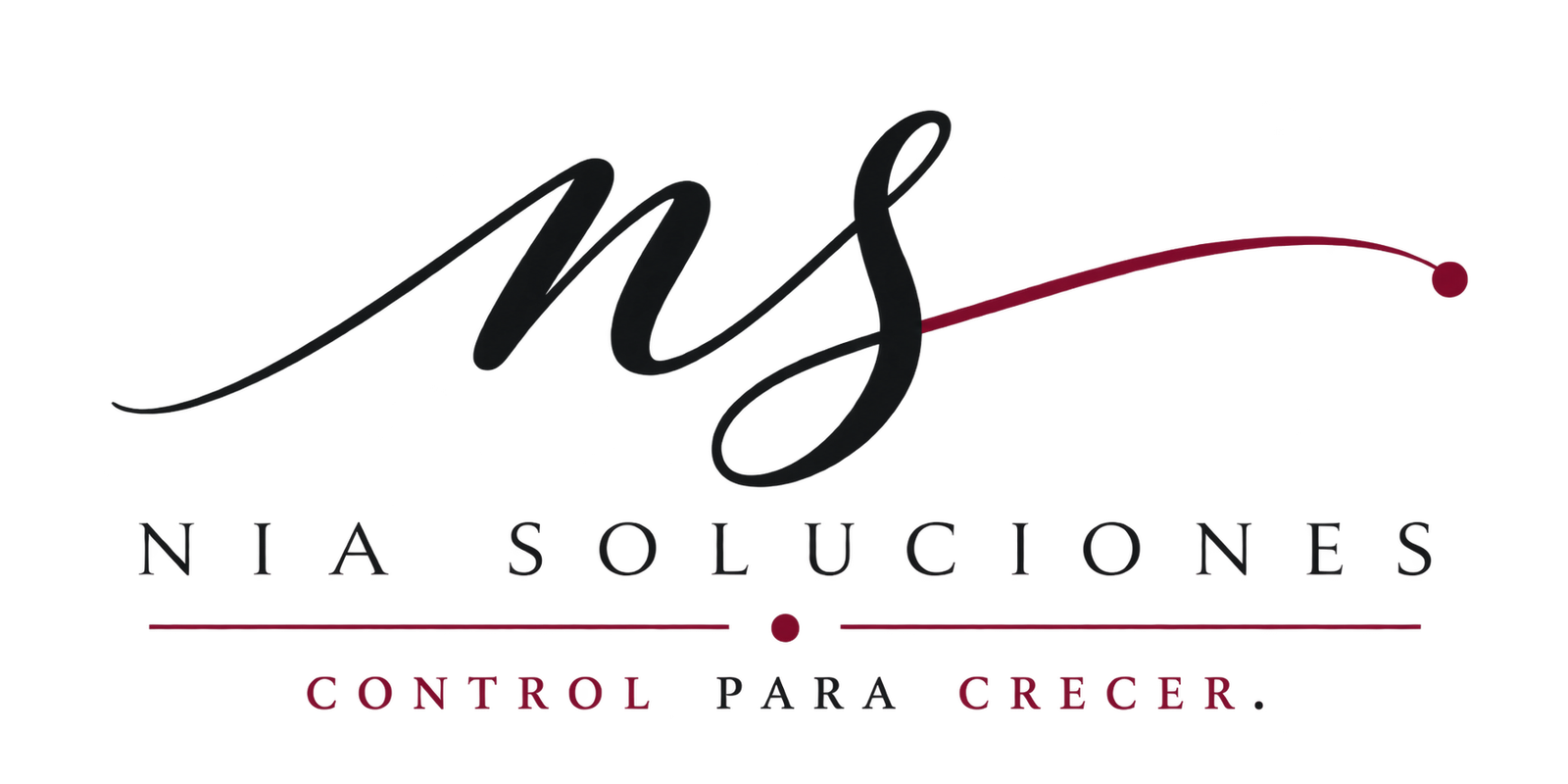 NIA Soluciones · Control para crecer